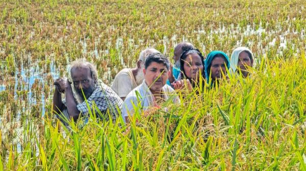 কুড়িগ্রামে বিএসএফের পুশইন, রৌমারী সীমান্তে উত্তেজনা