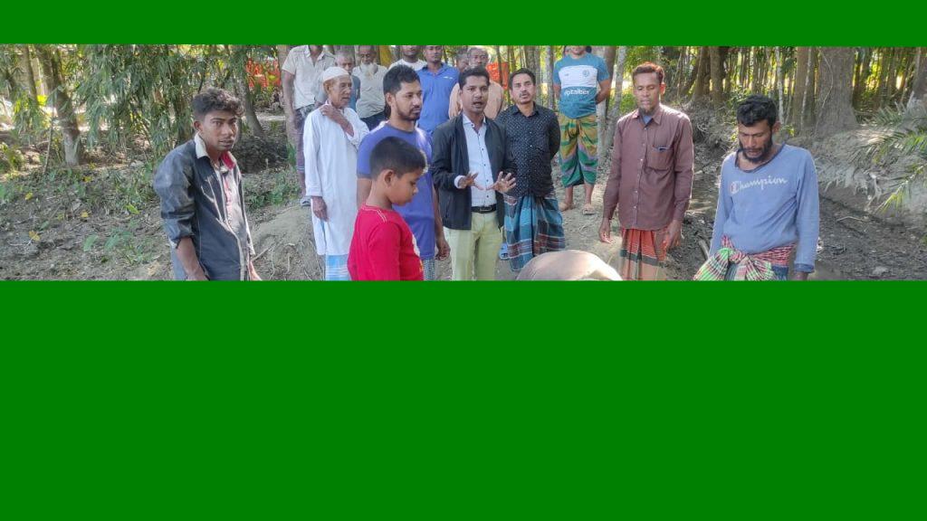 ঝালকাঠির খুলনা গ্রামে সড়কে কচুগাছ রোপণ করে প্রতিবাদ